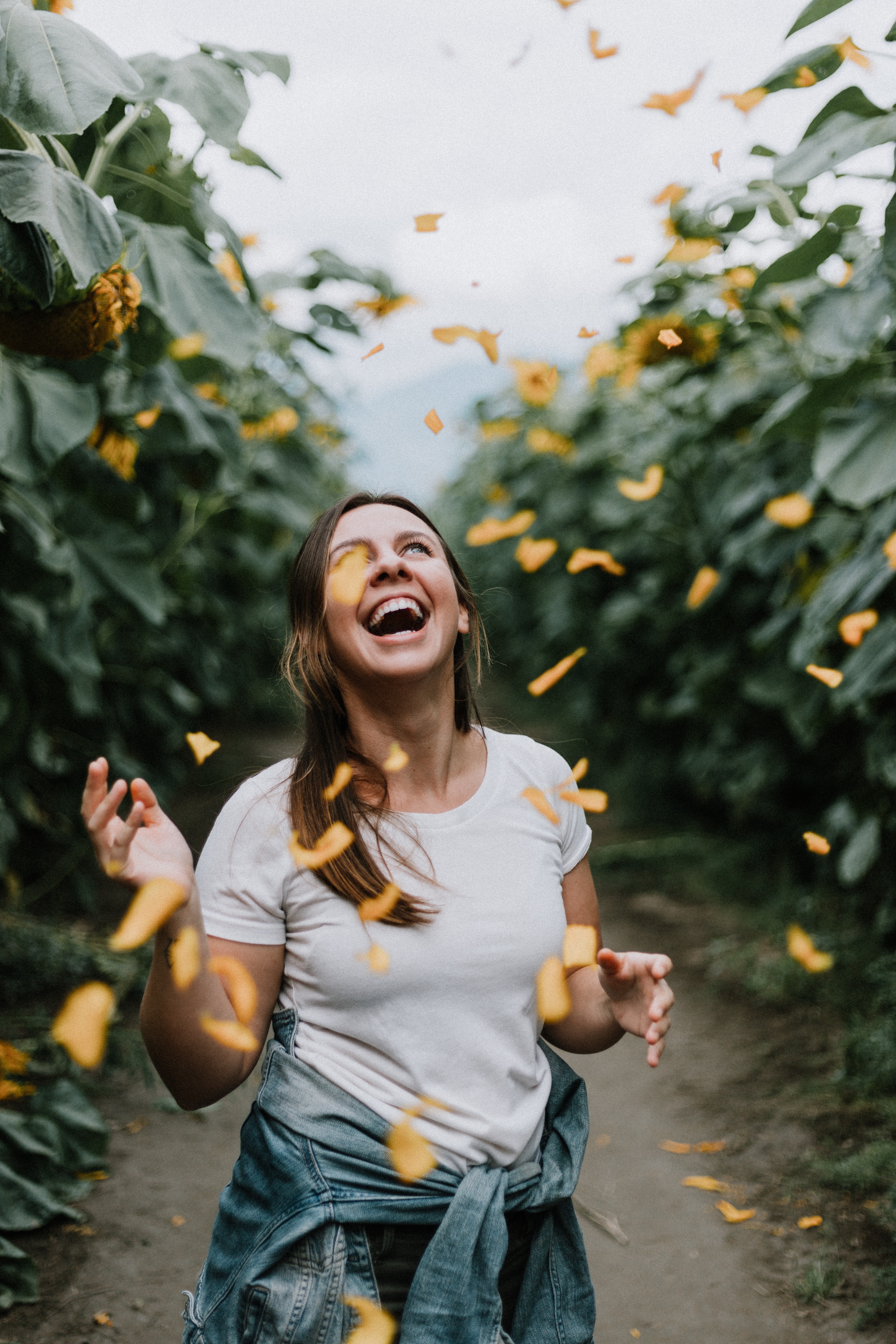 priscilla-du-preez-972643-unsplash