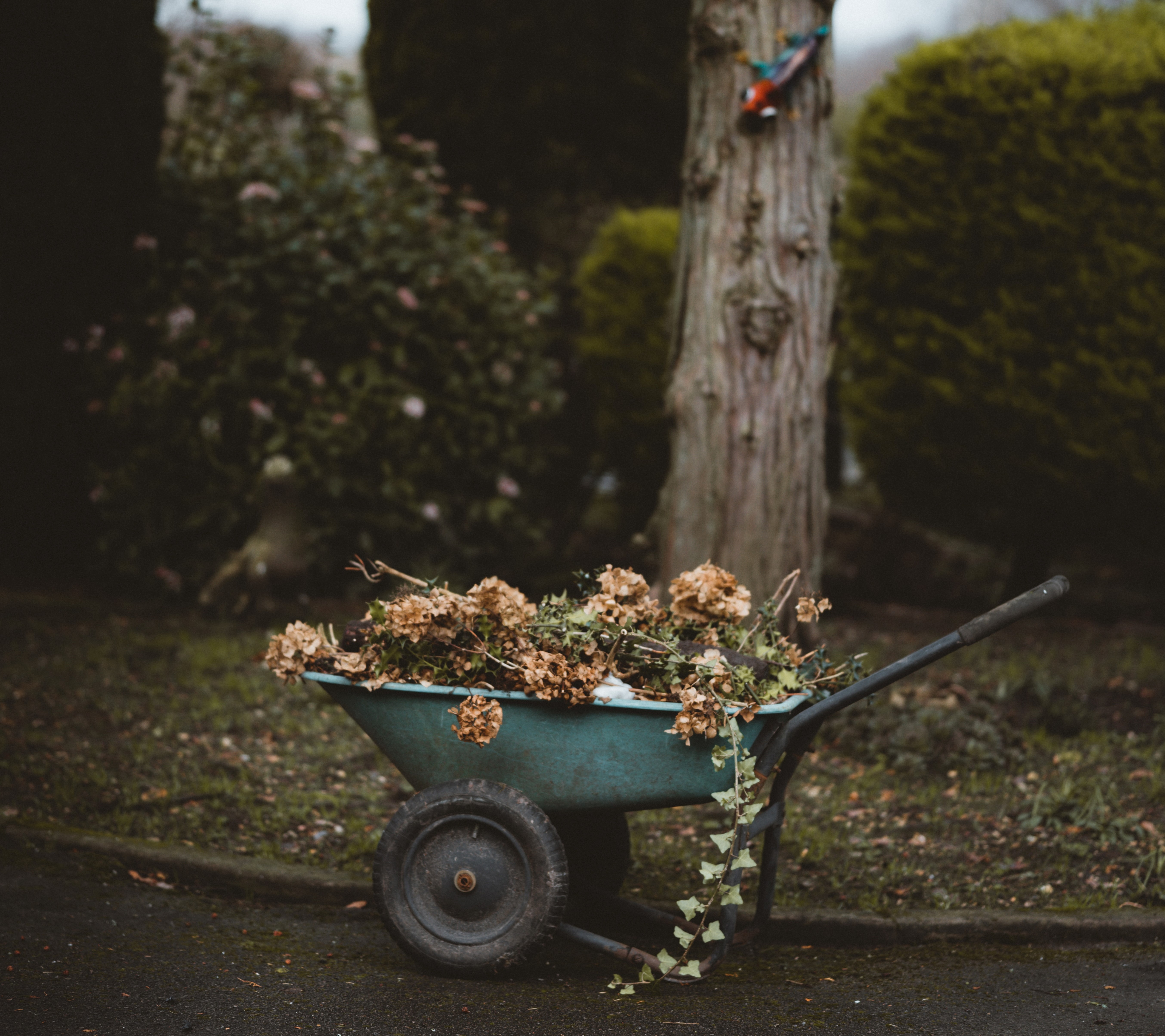 Foto: Annie Spratt